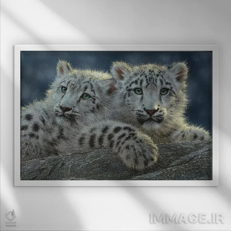 تابلو بچهپلنگهای برفی (افقی) اثر کالین بوگل - نمای قابدار سفید