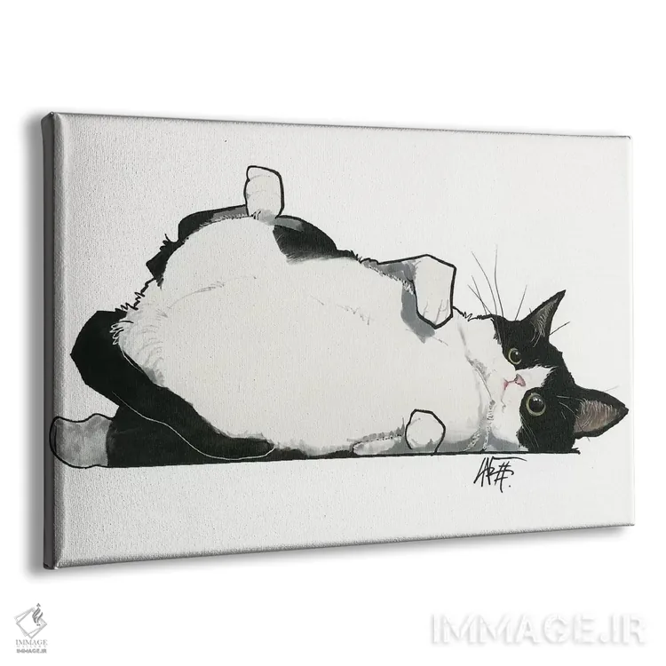 تابلو گربه دلش مالش شکم میخواهد اثر کاریکاتورهای سگ (استودیو تخصصی کاریکاتور حیوانات) - نمای پرسپکتیو محصول