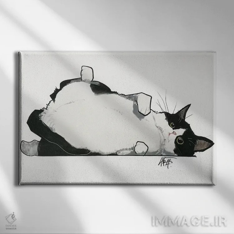تابلو گربه دلش مالش شکم میخواهد اثر کاریکاتورهای سگ (استودیو تخصصی کاریکاتور حیوانات) - نمای روبهرو روی دیوار