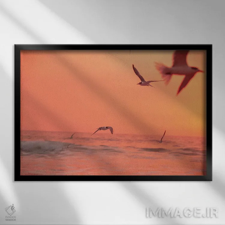 تابلو پرواز بلند اثر شارلوت کرد - نمای قابدار مشکی