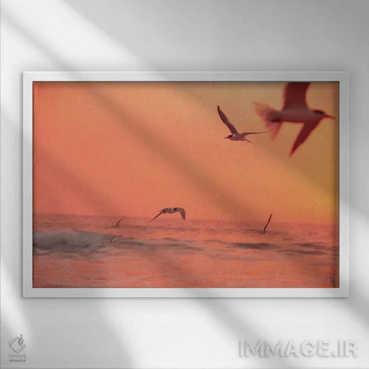 تابلو پرواز بلند اثر شارلوت کرد - نمای قابدار سفید