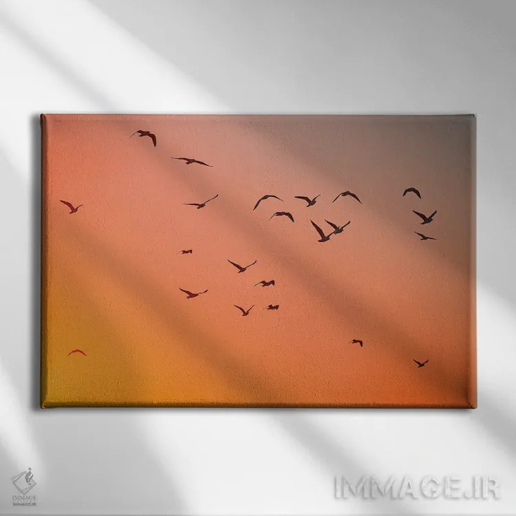 تابلو حبابها اثر شارلوت کرد - نمای روبهرو روی دیوار