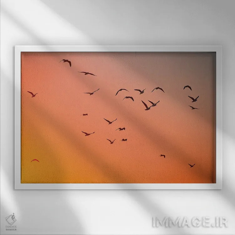 تابلو حبابها اثر شارلوت کرد - نمای قابدار سفید