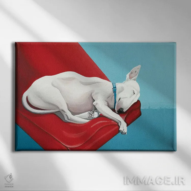 تابلو بول تریر خوابیده اثر سیسی گیدی - نمای روبهرو روی دیوار