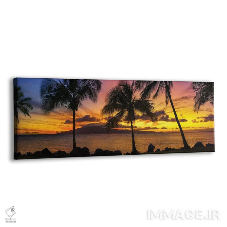 تابلو غروب نخلها اثر عکاسی جاناتان راس - نمای پرسپکتیو محصول