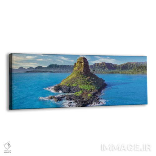 تابلو کلاه مرد چینی در اوآهو (جزیره کوچک) اثر عکاسی جاناتان راس - نمای پرسپکتیو محصول