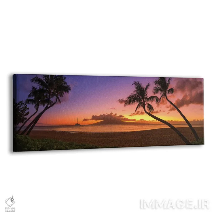 تابلو یک عصر در هاوایی اثر عکاسی جاناتان راس - نمای پرسپکتیو محصول
