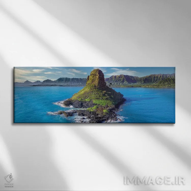 تابلو کلاه مرد چینی در اوآهو (جزیره کوچک) اثر عکاسی جاناتان راس - نمای روبهرو روی دیوار