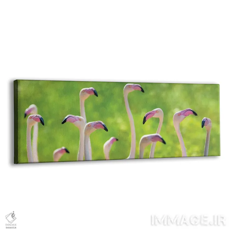تابلو بنر فلامینگوهای بزرگ صورتی اثر جین ریکس - نمای پرسپکتیو محصول