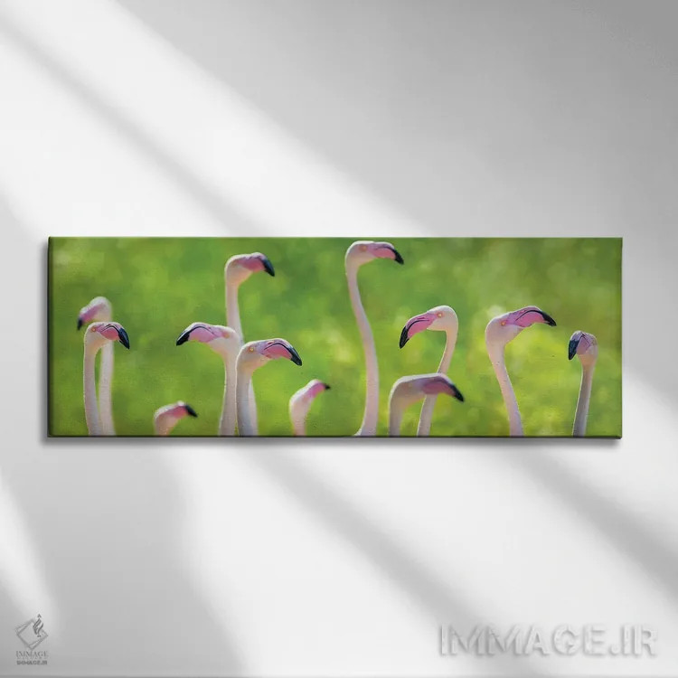 تابلو بنر فلامینگوهای بزرگ صورتی اثر جین ریکس - نمای روبهرو روی دیوار