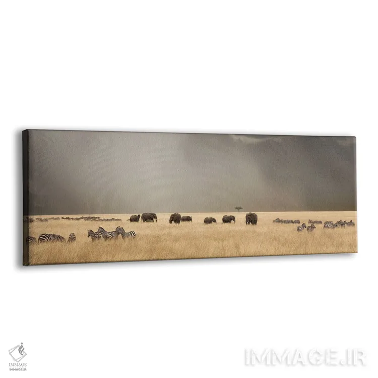 تابلو آسمان طوفانی بر فراز ماسایی مارا با فیلها و گورخرها اثر جین ریکس - نمای پرسپکتیو محصول