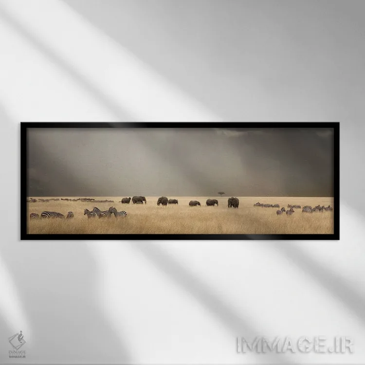تابلو آسمان طوفانی بر فراز ماسایی مارا با فیلها و گورخرها اثر جین ریکس - نمای قابدار مشکی