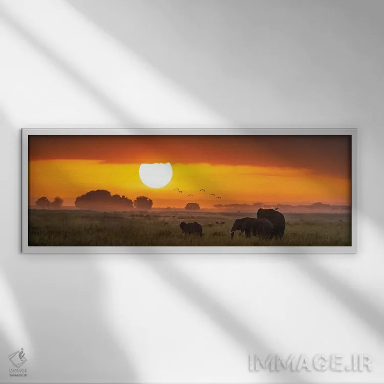 تابلو Kenya,فیلها هنگام طلوع آفتاب در پارک ملی امبوسلی، کنیا اثر جین ریکس - نمای قابدار سفید