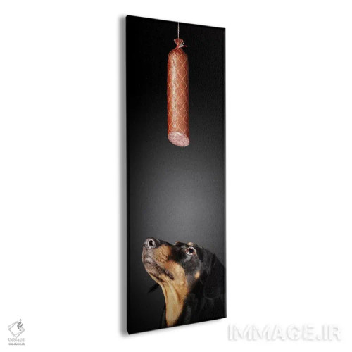 تابلو داشوند چشمدوخته به سوسیس سالامی (نوعی سگ) اثر یوهان سوانپوئل - نمای پرسپکتیو محصول