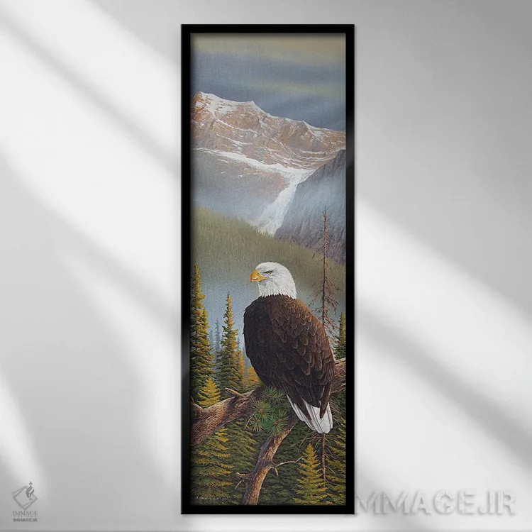 تابلو نقطه دید مناسب اثر جیک وندنبرینگک - نمای قابدار مشکی