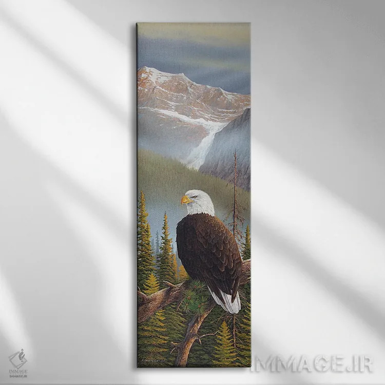 تابلو نقطه دید مناسب اثر جیک وندنبرینگک - نمای روبهرو روی دیوار