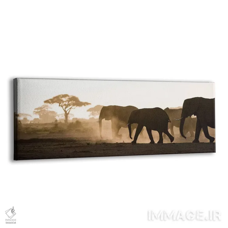 تابلو Kenya, Amboseli National Park. Backlit elephants on the march.,آفریقا، کنیا، پارک ملی آمبوسلی. فیلهای نور از پشت در حال حرکت اثر جینز گالری (گالری هنری/عکس) - نمای پرسپکتیو محصول