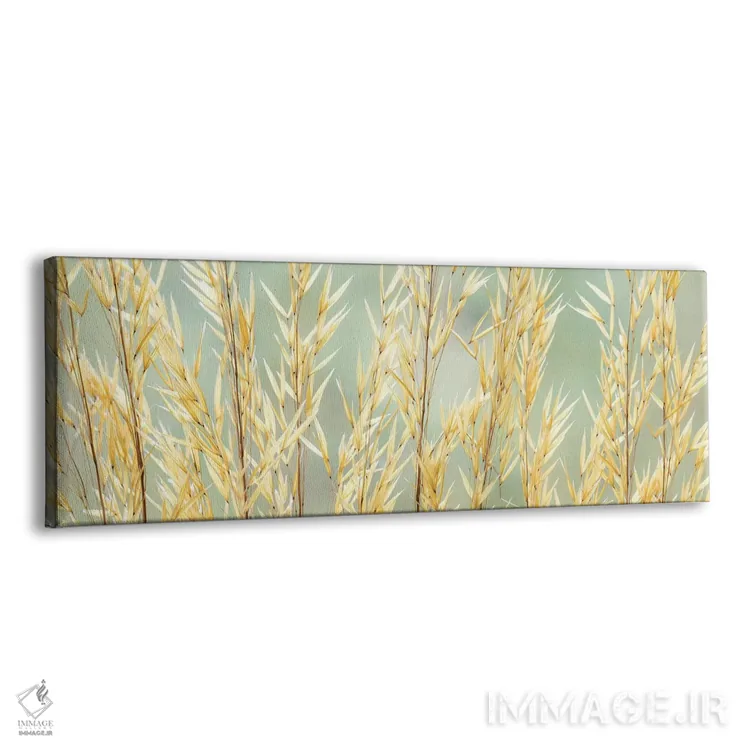 تابلو Washington State, Seabeck. Seed heads of giant feather grass.,ایالات متحده، ایالت واشینگتن، سیبک. سر دانههای علف پر گونهٔ بزرگ اثر جینز گالری (گالری هنری/عکس) - نمای پرسپکتیو محصول