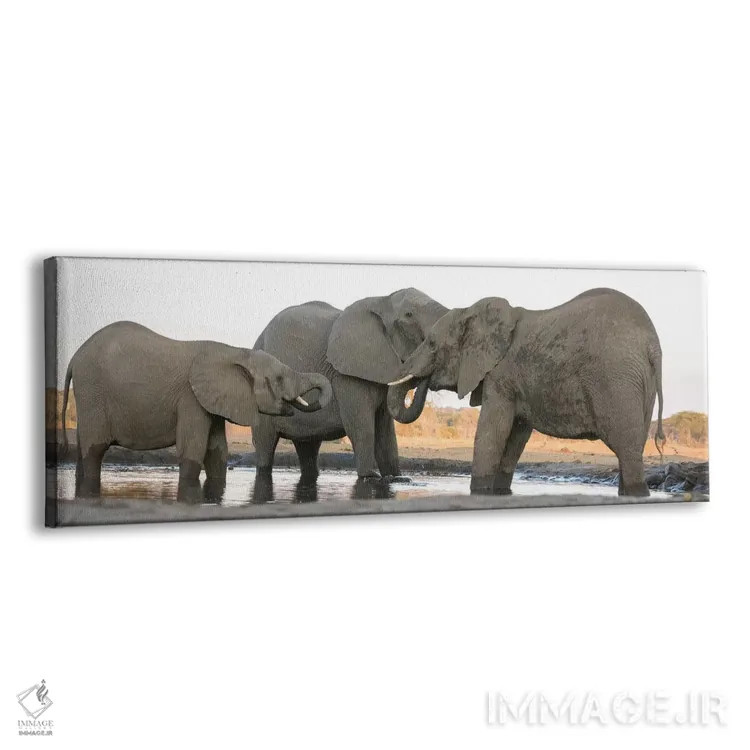 تابلو Botswana, Senyati Safari Camp. Elephants at waterhole.,آفریقا، بوتسوانا، کمپ سافاری سنیاتی. فیلها در کنار آبگیر اثر جینز گالری (گالری هنری/عکس) - نمای پرسپکتیو محصول