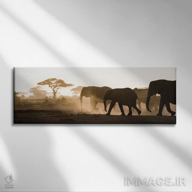 تابلو Kenya, Amboseli National Park. Backlit elephants on the march.,آفریقا، کنیا، پارک ملی آمبوسلی. فیلهای نور از پشت در حال حرکت اثر جینز گالری (گالری هنری/عکس) - نمای روبهرو روی دیوار