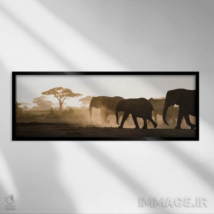 تابلو Kenya, Amboseli National Park. Backlit elephants on the march.,آفریقا، کنیا، پارک ملی آمبوسلی. فیلهای نور از پشت در حال حرکت اثر جینز گالری (گالری هنری/عکس) - نمای قابدار مشکی