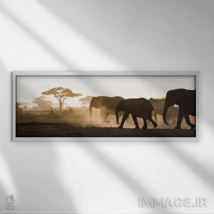 تابلو Kenya, Amboseli National Park. Backlit elephants on the march.,آفریقا، کنیا، پارک ملی آمبوسلی. فیلهای نور از پشت در حال حرکت اثر جینز گالری (گالری هنری/عکس) - نمای قابدار سفید