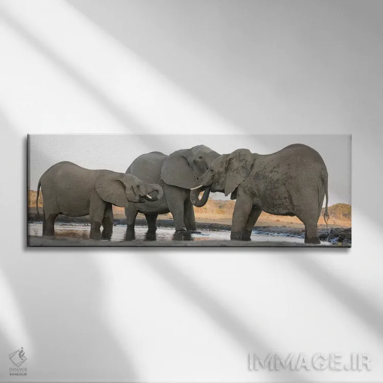 تابلو Botswana, Senyati Safari Camp. Elephants at waterhole.,آفریقا، بوتسوانا، کمپ سافاری سنیاتی. فیلها در کنار آبگیر اثر جینز گالری (گالری هنری/عکس) - نمای روبهرو روی دیوار