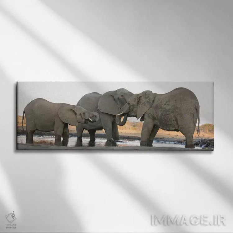 تابلو Botswana, Senyati Safari Camp. Elephants at waterhole.,آفریقا، بوتسوانا، کمپ سافاری سنیاتی. فیلها در کنار آبگیر اثر جینز گالری (گالری هنری/عکس) - نمای روبهرو روی دیوار