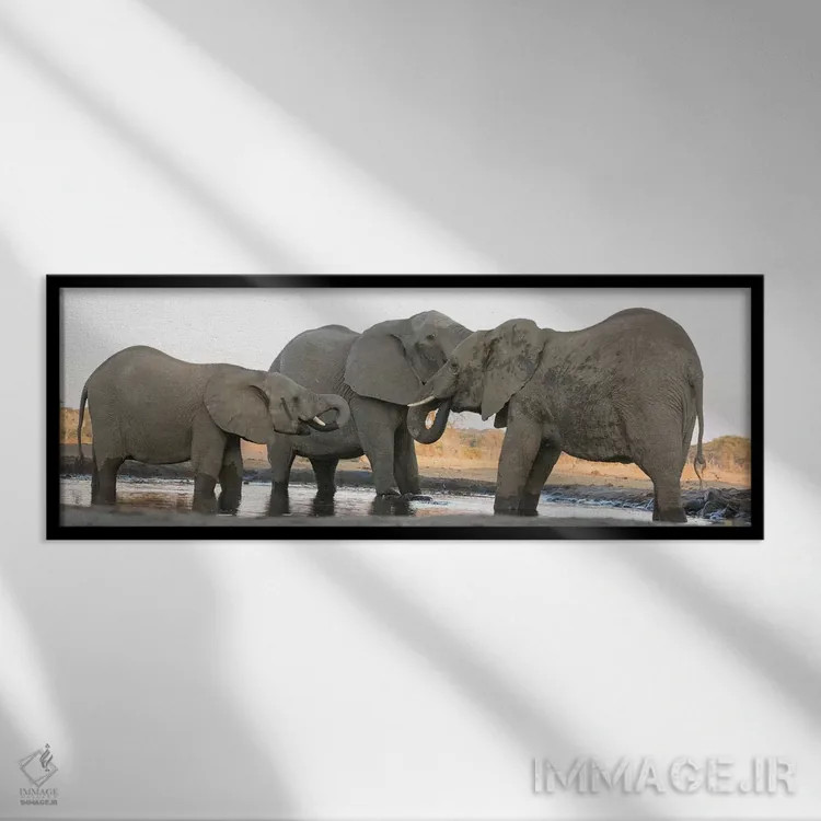 تابلو Botswana, Senyati Safari Camp. Elephants at waterhole.,آفریقا، بوتسوانا، کمپ سافاری سنیاتی. فیلها در کنار آبگیر اثر جینز گالری (گالری هنری/عکس) - نمای قابدار مشکی