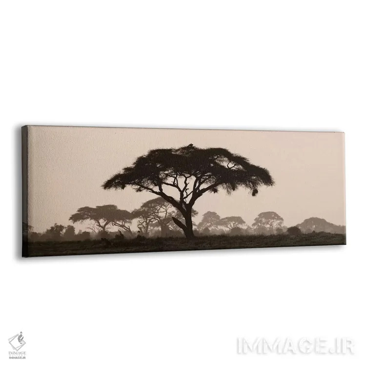 تابلو Kenya, Maasai Mara National Reserve. Silhouette of umbrella thorn acacia tree at sunset.,آفریقا، کنیا، ذخیرهگاه ملی ماسایی مارا. سیلوئت درخت آکاسیا چتری در غروب آفتاب اثر جینز گالری (گالری هنری/عکس) - نمای پرسپکتیو محصول