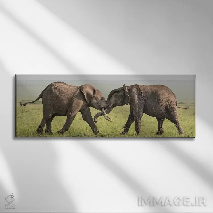 تابلو Kenya, Maasai Mara National Reserve. Elephants greeting.,آفریقا، کنیا، ذخیرهگاه ملی ماسایی مارا. فیلها در حال سلام دادن اثر جینز گالری (گالری هنری/عکس) - نمای روبهرو روی دیوار