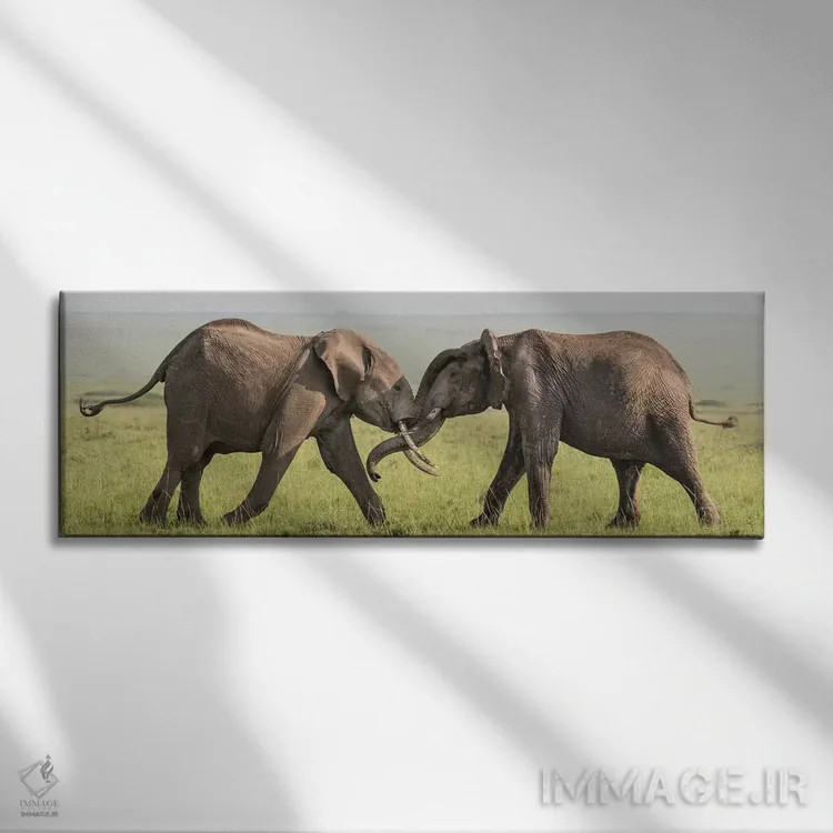 تابلو Kenya, Maasai Mara National Reserve. Elephants greeting.,آفریقا، کنیا، ذخیرهگاه ملی ماسایی مارا. فیلها در حال سلام دادن اثر جینز گالری (گالری هنری/عکس) - نمای روبهرو روی دیوار