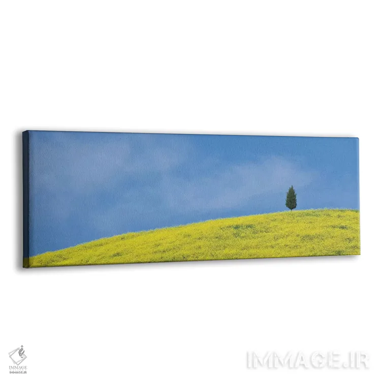 تابلو Tuscany. Lone cypress tree on flower-covered hillside II,ایتالیا، توسکانی. درخت سرو تنها بر دامنه پوشیده از گل (قسمت دوم) اثر جینز گالری (گالری هنری/عکس) - نمای پرسپکتیو محصول
