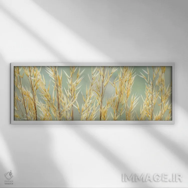 تابلو Washington State, Seabeck. Seed heads of giant feather grass.,ایالات متحده، ایالت واشینگتن، سیبک. سر دانههای علف پر گونهٔ بزرگ اثر جینز گالری (گالری هنری/عکس) - نمای قابدار سفید
