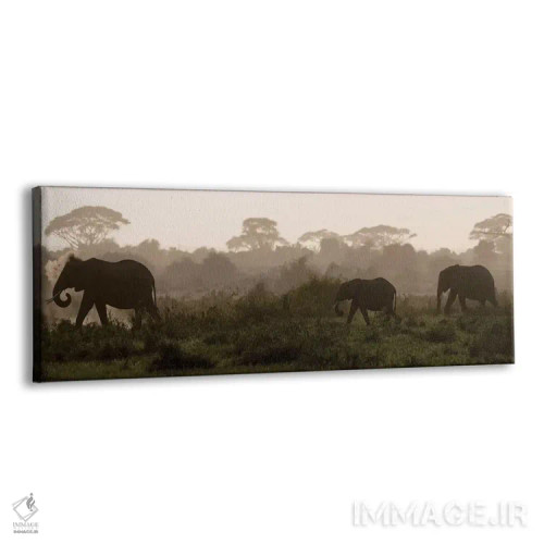 تابلو Kenya, Amboseli National Park. Elephants backlit at sunset.,آفریقا، کنیا، پارک ملی آمبوسلی. فیلها با نور پسزمینه هنگام غروب اثر جینز گالری (گالری هنری/عکس) - نمای پرسپکتیو محصول