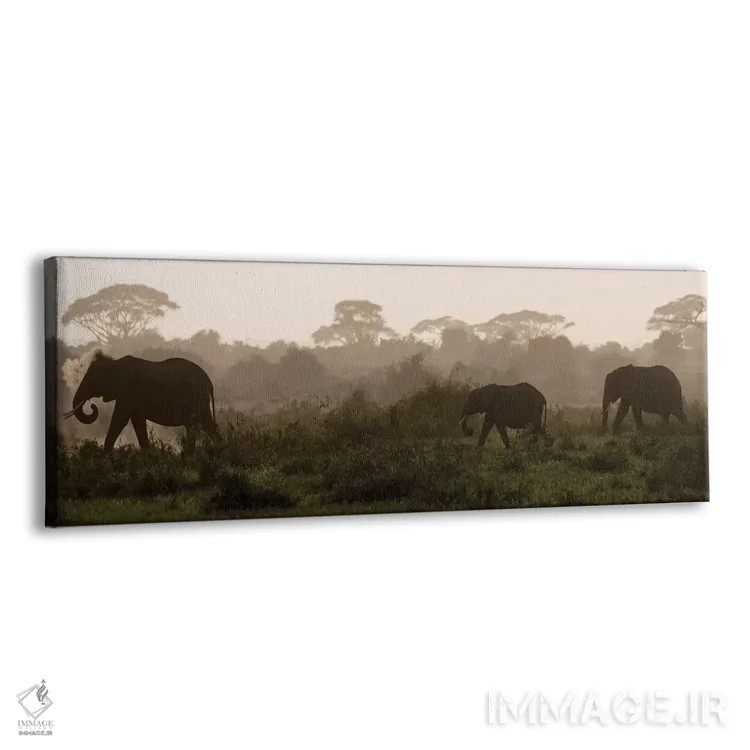تابلو Kenya, Amboseli National Park. Elephants backlit at sunset.,آفریقا، کنیا، پارک ملی آمبوسلی. فیلها با نور پسزمینه هنگام غروب اثر جینز گالری (گالری هنری/عکس) - نمای پرسپکتیو محصول