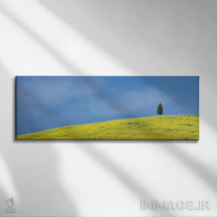 تابلو Tuscany. Lone cypress tree on flower-covered hillside II,ایتالیا، توسکانی. درخت سرو تنها بر دامنه پوشیده از گل (قسمت دوم) اثر جینز گالری (گالری هنری/عکس) - نمای روبهرو روی دیوار
