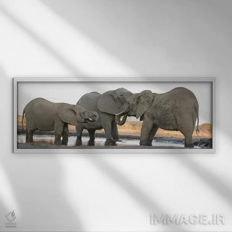 تابلو Botswana, Senyati Safari Camp. Elephants at waterhole.,آفریقا، بوتسوانا، کمپ سافاری سنیاتی. فیلها در کنار آبگیر اثر جینز گالری (گالری هنری/عکس) - نمای قابدار سفید