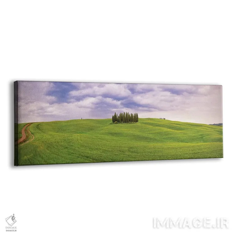 تابلو San Quirico d'Orcia. Cypress grove in panoramic.,ایتالیا، سان کویریکو دورچیا. بیشه سروها به صورت گسترده اثر جینز گالری (گالری هنری/عکس) - نمای پرسپکتیو محصول