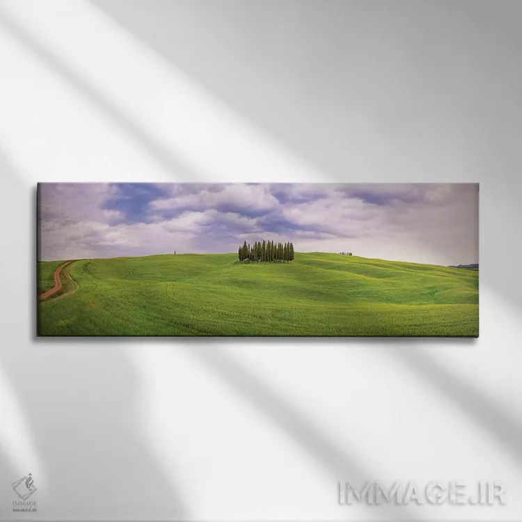 تابلو San Quirico d'Orcia. Cypress grove in panoramic.,ایتالیا، سان کویریکو دورچیا. بیشه سروها به صورت گسترده اثر جینز گالری (گالری هنری/عکس) - نمای روبهرو روی دیوار