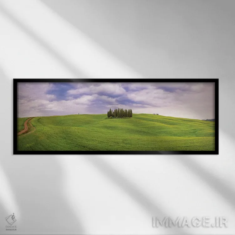 تابلو San Quirico d'Orcia. Cypress grove in panoramic.,ایتالیا، سان کویریکو دورچیا. بیشه سروها به صورت گسترده اثر جینز گالری (گالری هنری/عکس) - نمای قابدار مشکی