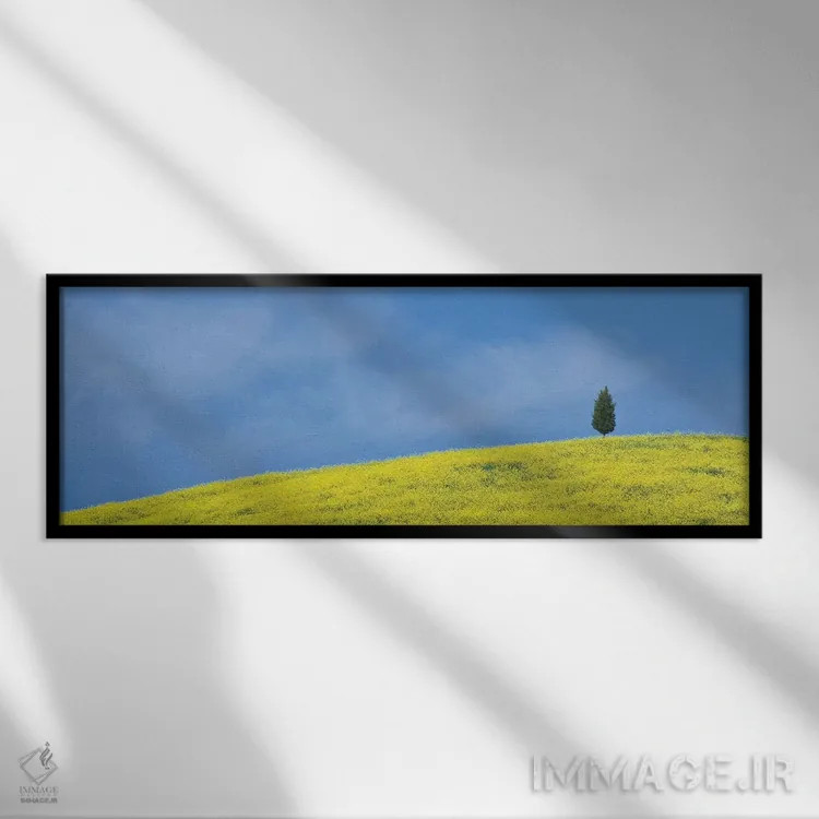 تابلو Tuscany. Lone cypress tree on flower-covered hillside II,ایتالیا، توسکانی. درخت سرو تنها بر دامنه پوشیده از گل (قسمت دوم) اثر جینز گالری (گالری هنری/عکس) - نمای قابدار مشکی