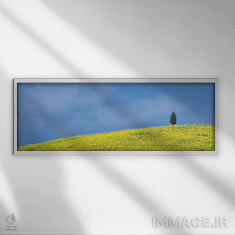 تابلو Tuscany. Lone cypress tree on flower-covered hillside II,ایتالیا، توسکانی. درخت سرو تنها بر دامنه پوشیده از گل (قسمت دوم) اثر جینز گالری (گالری هنری/عکس) - نمای قابدار سفید