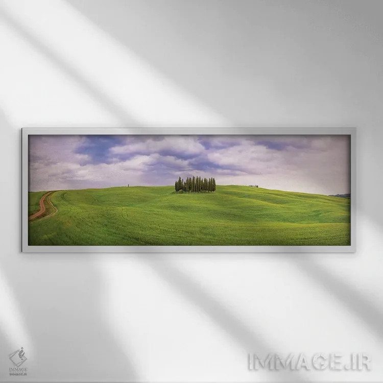 تابلو San Quirico d'Orcia. Cypress grove in panoramic.,ایتالیا، سان کویریکو دورچیا. بیشه سروها به صورت گسترده اثر جینز گالری (گالری هنری/عکس) - نمای قابدار سفید
