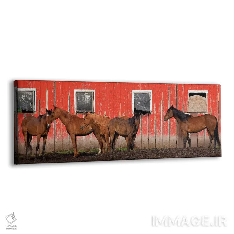 تابلو Washington State, Palouse. Panoramic of horses next to red barn.,ایالات متحده، ایالت واشینگتن، منطقه پالوس. منظره پانورامای اسبها کنار انبار قرمز. اثر جینز گالری (گالری هنری/عکس) - نمای پرسپکتیو محصول