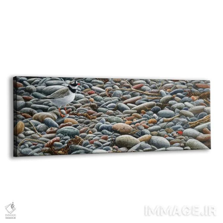 تابلو قلوهسنگ اثر جرمی پاول - نمای پرسپکتیو محصول