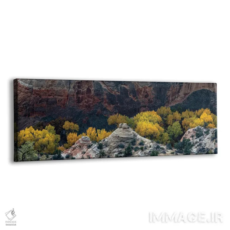 تابلو Utah. Autumn cottonwoods and sandstone formations in canyon, Grand Staircase-Escalante National Monument.,ایالات متحده، یوتا. درختان سپیدار پاییزی و سازههای ماسهسنگی در دره، یادبود ملی گرند استیرکیس-اسکالانت اثر جودیت زیمرمن - نمای پرسپکتیو م