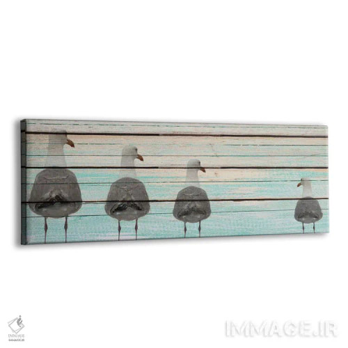 تابلو مرغان دریایی اثر کیمبرلی آلن - نمای پرسپکتیو محصول