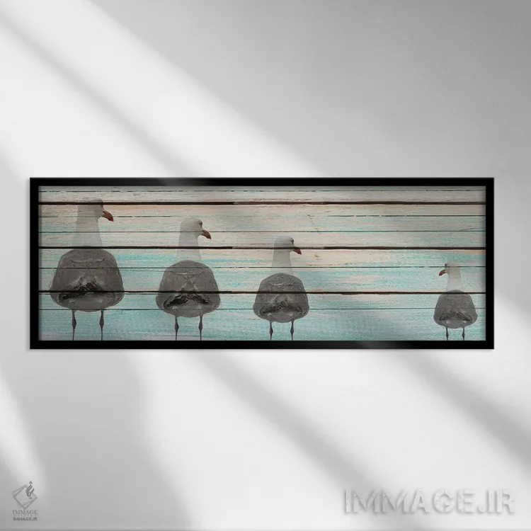 تابلو مرغان دریایی اثر کیمبرلی آلن - نمای قابدار مشکی