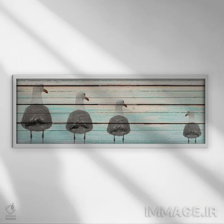 تابلو مرغان دریایی اثر کیمبرلی آلن - نمای قابدار سفید